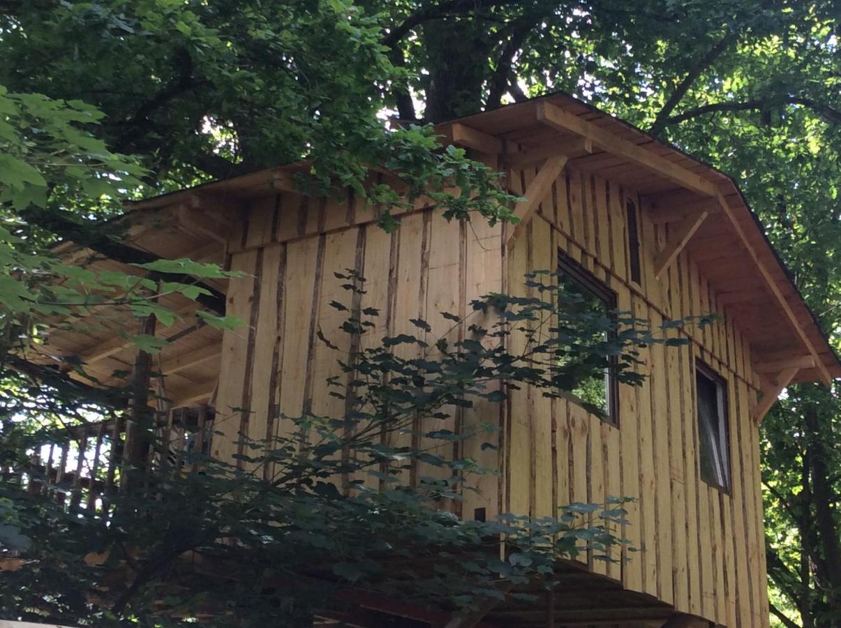 شقة Haus Dreil Ober-Abtsteinach المظهر الخارجي الصورة